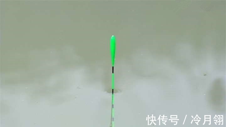 搞明白浮漂产生动作的原因,就知道怎么钓鱼了