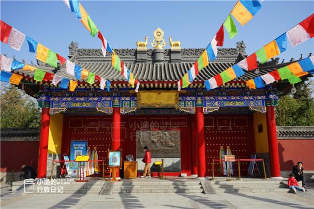 这座西安城墙脚下的秘境古寺，藏着绝美春色！人少免费，处处皆景