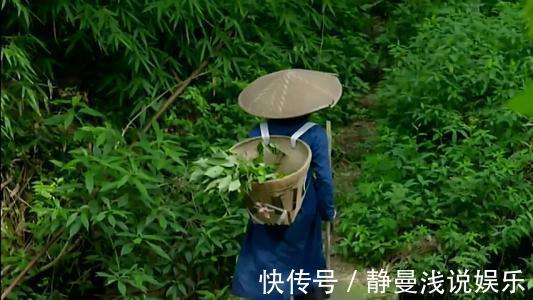 山东中草药手册|退休老药师“以筋治筋”的方子!一味药,治周身筋骨疼,请你品味