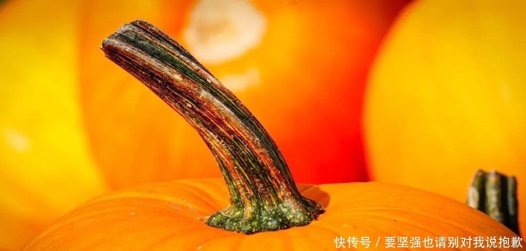 长期吃南瓜的人,会变成这样!