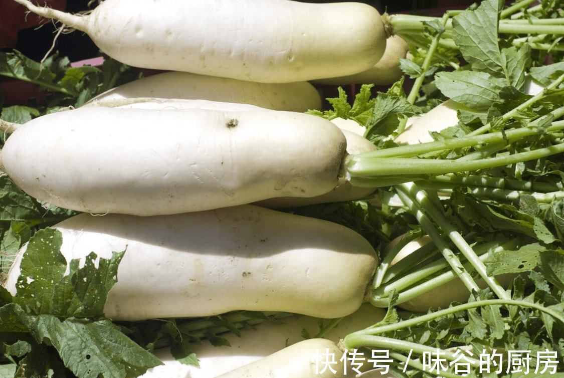 营养|明日寒露,要多吃“地下五宝”,营养丰富还不贵,应季而食身体棒