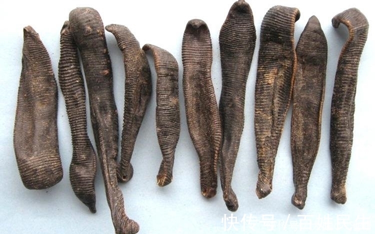 苍耳子|是药三分毒,泡药酒更要谨慎,医生提醒:4种药材严禁泡酒!