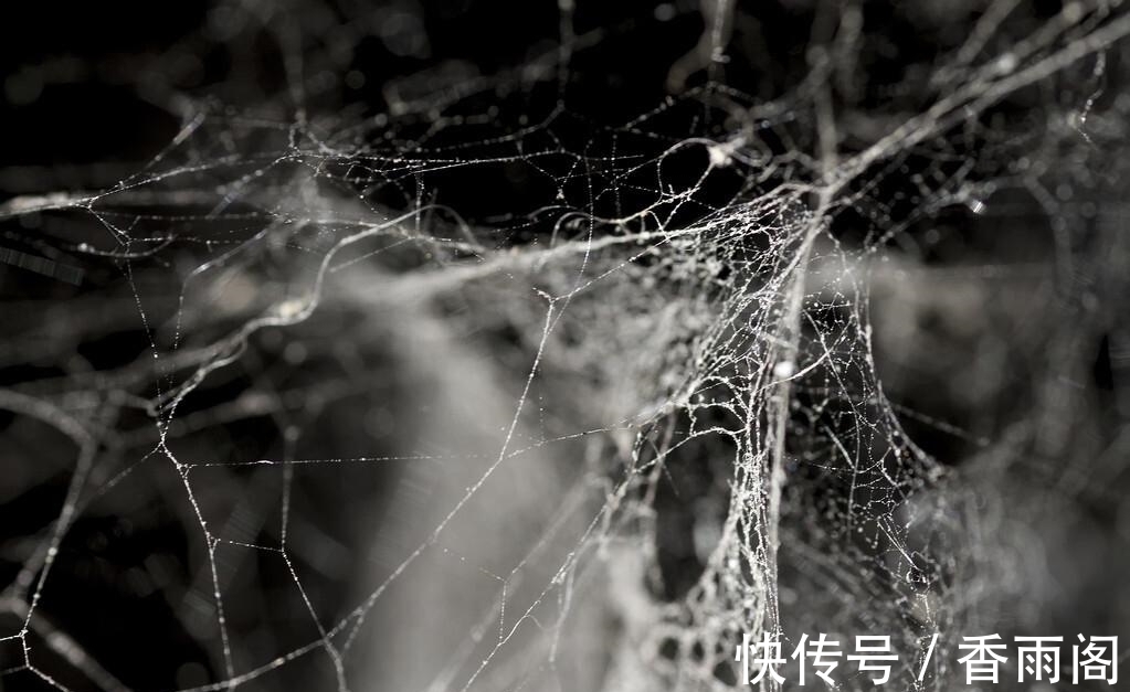 刚打扫完室内卫生，就又出现了尘絮，这些灰尘是怎么凭空出现的？