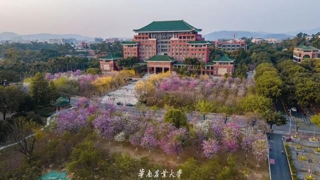 好家伙，这是什么偶像剧大学啊……