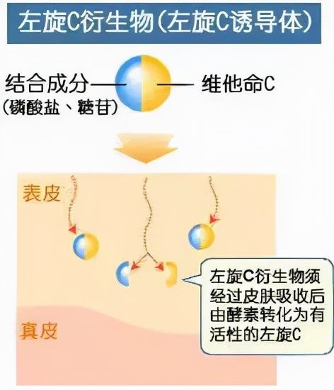 衍生物|烂脸警告！“早C晚A”有风险，这篇功课你必须要看