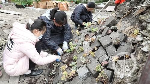 山城巷“长”出“荒野花园” 百年建筑旁将添魔幻打卡地