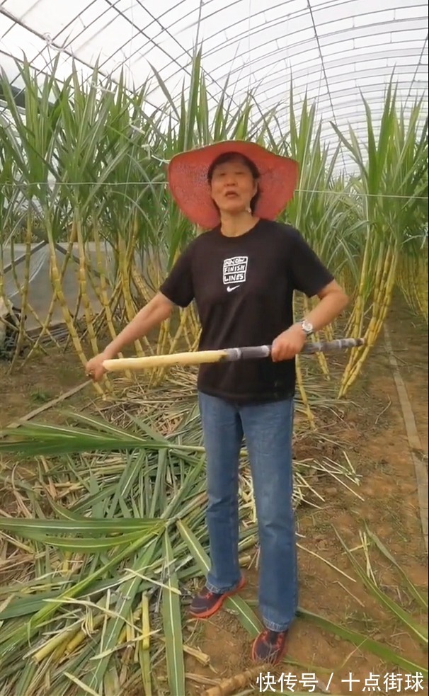 郎平|卸任女排教练后,61岁的郎平享受退休生活,未来重返女排仍有可能