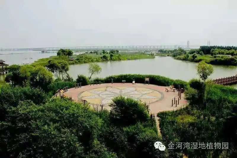 这6个湿地榜上有名