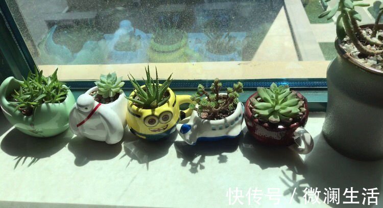 4个擦玻璃的小妙招,只要记住一个,玻璃就能光亮如新