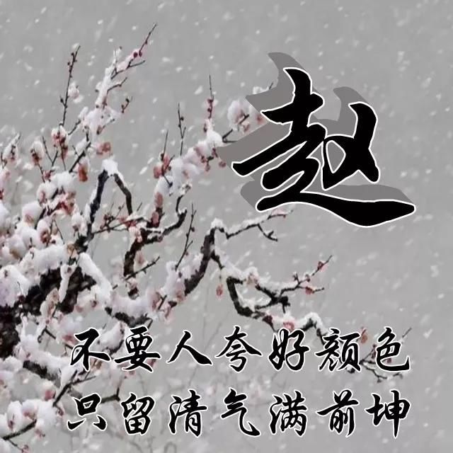  红梅|红梅花儿开，朵朵放光彩，千里冰霜脚下踩