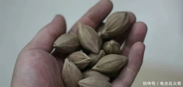 你雕得这么牛逼,让我怎么盘?!