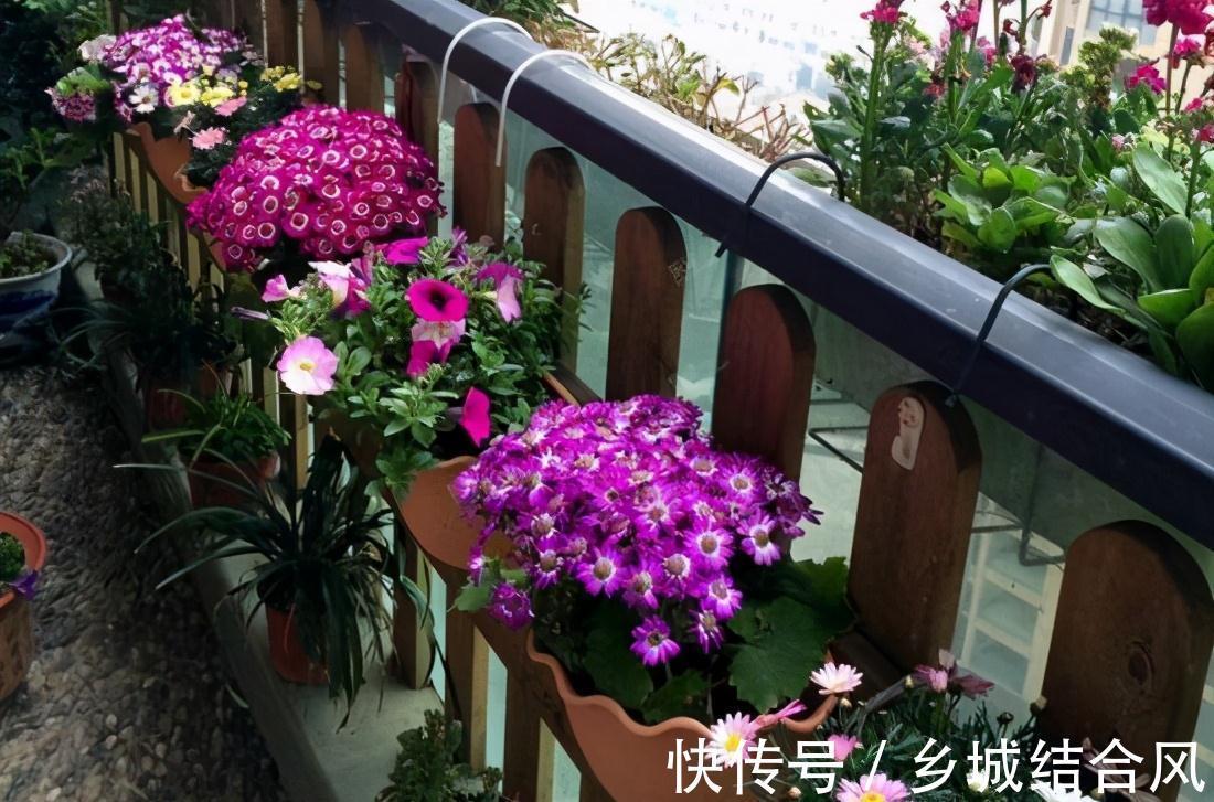 养花新手必看,养花肥料别多买,全植物通用性就好