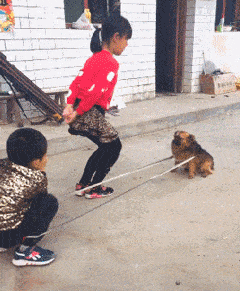 |搞笑GIF趣图你们女生过分了,欺负男生和狗!