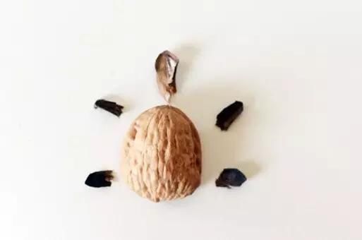 保证|吃完的坚果不能丢,坚果壳变身记,保证创意一箩筐