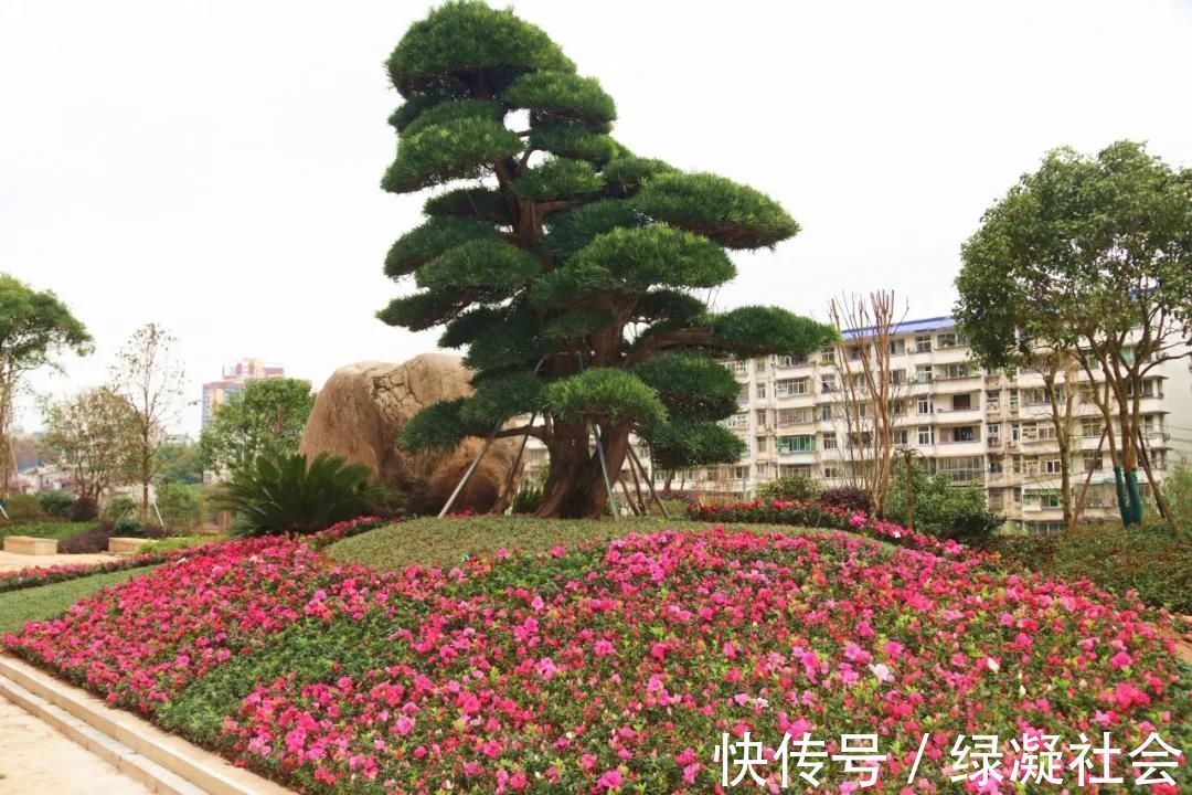 自然教育|99%的家长还不知道,“自然缺失症”正在毁掉孩子的童年