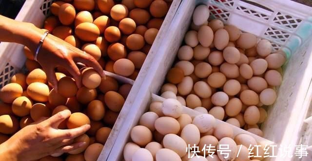 蒸鸡蛋|早晨吃鸡蛋,10个人9个错,记得避开这3个误区,赶快告诉家人!