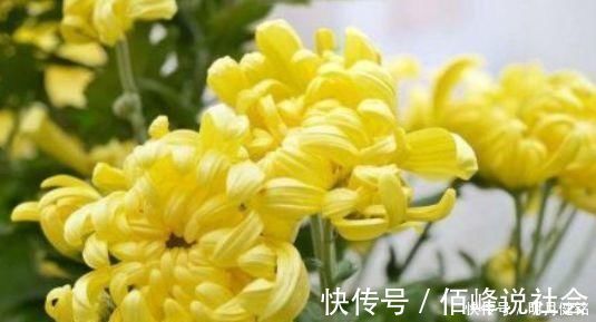 山楂|女性担心满脸皱纹,要学会吃3种食物,排毒养颜、延缓衰老