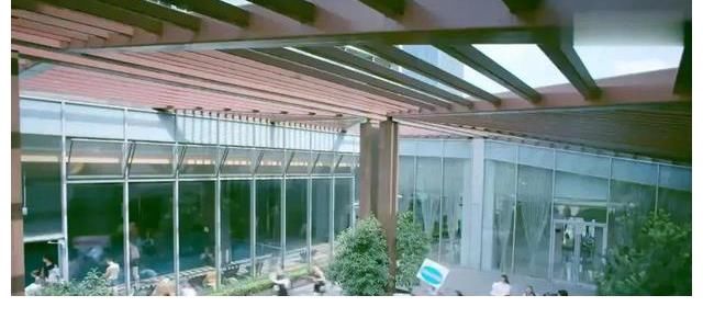 吴亦凡|理性追星,拒绝畸形的“饭圈”文化