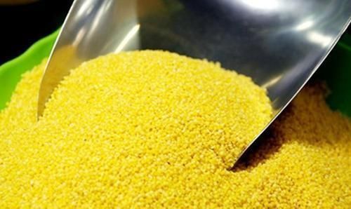 美味米|熬小米粥,别直接下锅煮,大厨教你正确方法,香浓美味米油厚厚