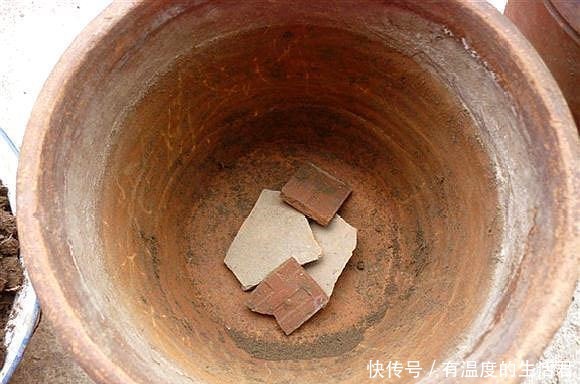 春季给花换盆,5个错误不要犯,不然服盆慢,难养活!