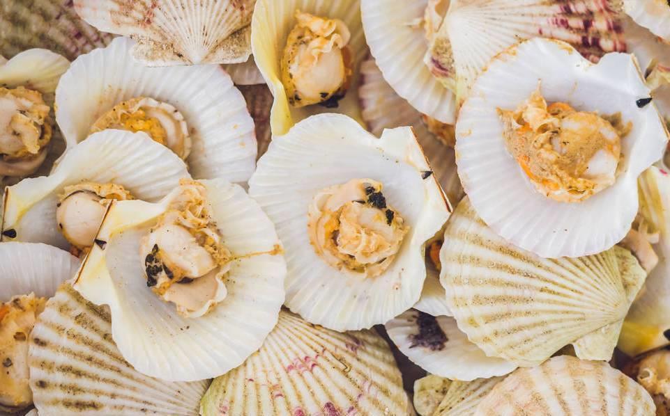 做扇贝别再用水煮了,海边人教你正确做法,肉质鲜嫩不回缩