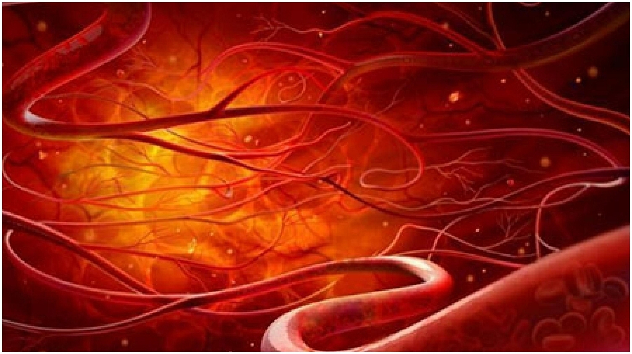 消化吸收|经常吃“腐乳”的人，最后怎样了？或许只有少数人真正清楚