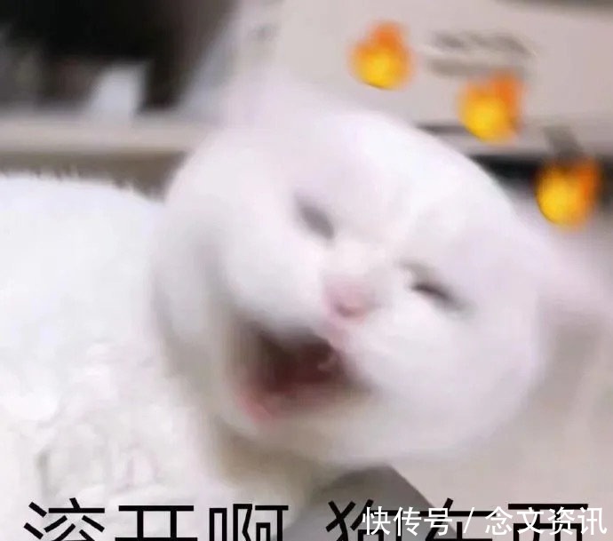 |搞笑GIF:第一次见相亲的妹子,这是什么意思啊!