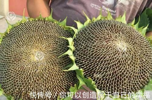 神经衰弱|多少人正在被失眠困扰着,经常失眠的人,吃什么能有助于睡眠?