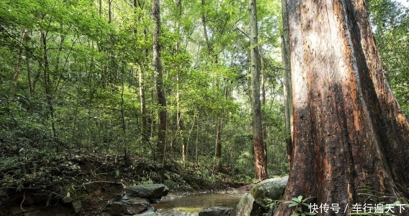 门票|杭州不止有西湖，还有“小九寨”，门票70元，鲜少有人知道