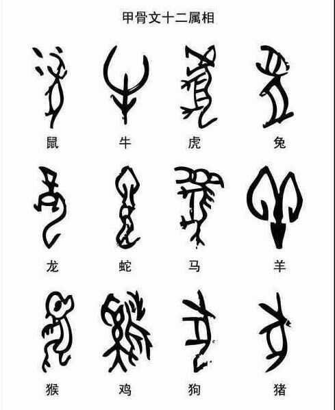 十二生肖的甲骨文,看你能认出来几个