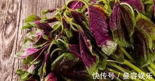 苋菜苋菜|便秘的“死对头”,每天吃两口,排出宿便,远离疾病困扰