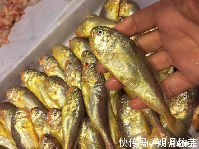 营养|它常被错认成黄花鱼,但要比黄花鱼营养美味,却没有几人知道