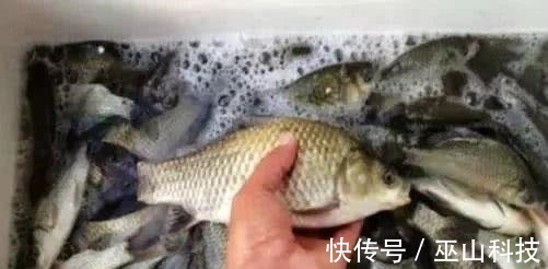 偷学高手的3个冬季钓鲫鱼招数,没想到还真管用,钓鱼人士的福利