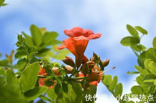 飙升|7月份，桃花运势大涨，异性缘飙升，两人情感迅速升温的生肖