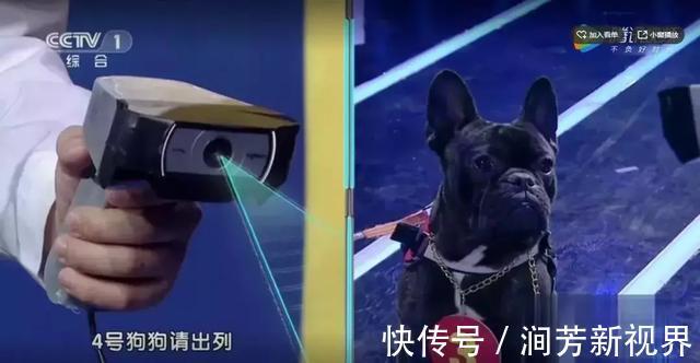 uber|清华校长一针见血这类孩子看起来很聪明,长大后却容易没出息