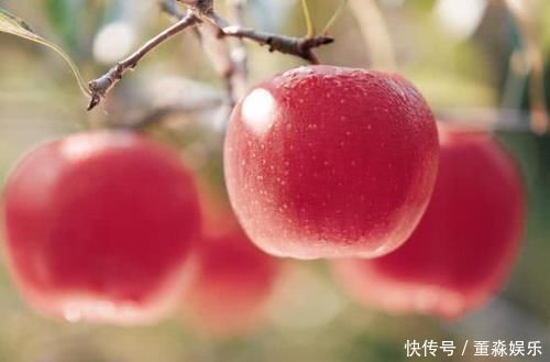 猪肺|肺部干净的人，都有这个三个“共性”，若能占上一个，也要恭喜你