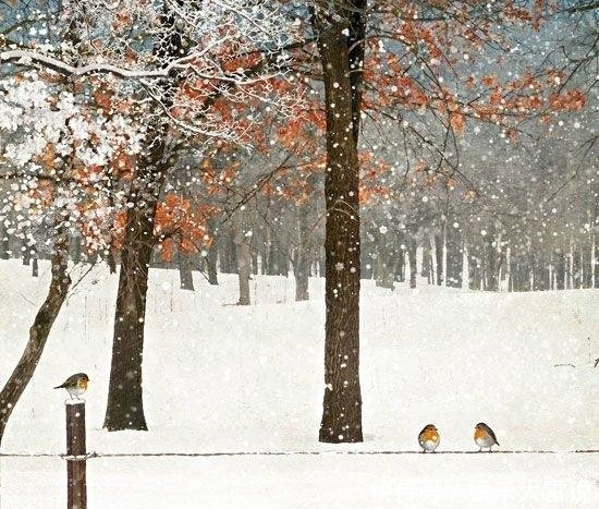 风格|画师笔下的雪中精灵,治愈系风格!