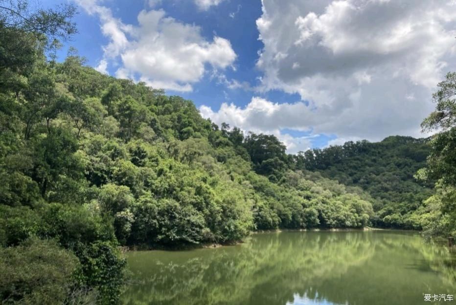 仙湖|仙湖之游记