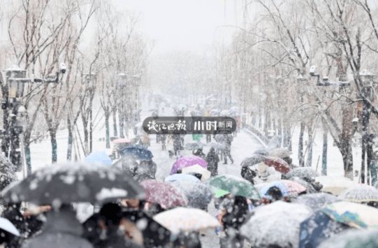 新闻记者|今天杭州人刷屏的“鹅毛大雪”，只是小到中雪？并非十年未见？真相来了