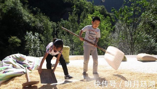 三胞胎|宝妈带三胞胎回娘家,三胞胎正合谋杀鸡,妈妈进门看到乐坏了