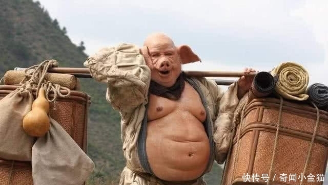 主人|为何猪八戒能拿5048斤的钉耙做兵器,挑百十斤的行李担子嫌沉
