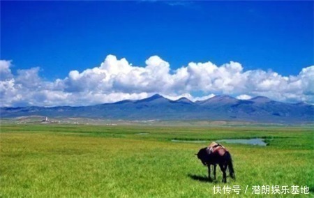 草原|一望无际的大草原上，为什么不长树看完解开多年疑惑