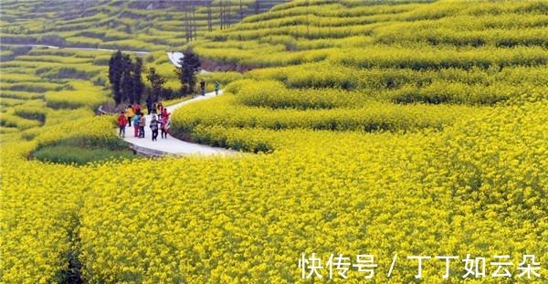 云南罗平依鲁为最大自然天成花园添彩增香!