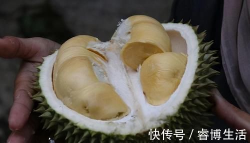 食物|想长寿得会吃,三种食物换着吃,营养丰富,滋补身体,早知早好