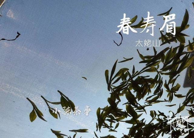 曲解|白牡丹剥了针,就成了寿眉?是谁还在不断曲解白茶?