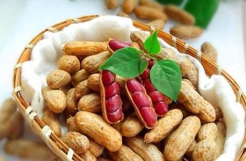 食物|经常食用花生,是减肥还是增肥?看完之后明白了!