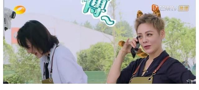 宁静|《中餐厅5》：宁静压抑怒火，伏低反转，让人惊喜