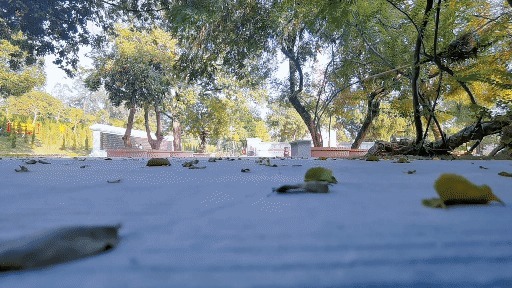 跑步 大胆尝试,咕咚逐日21K厚底跑鞋,加倍弹力爆发确实香