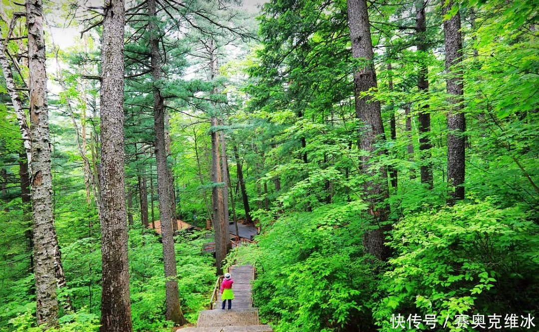 名胜风景区|仙境是何处？人间镜泊湖