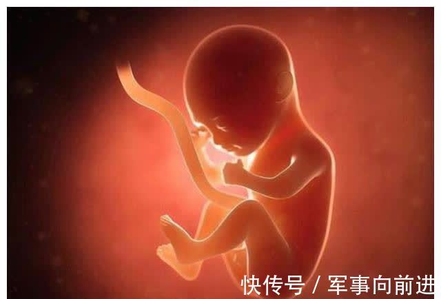 黄金期|胎儿大脑发育的“黄金期”有2个,孕妈要提早为宝宝的发育做准备